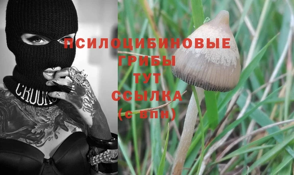 ешки Нязепетровск