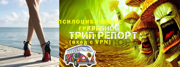 СК Нягань