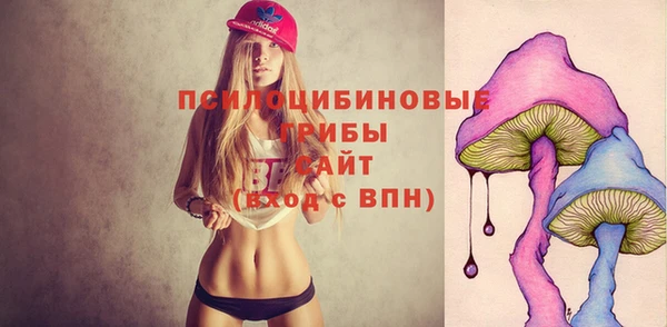 кристаллы Няндома