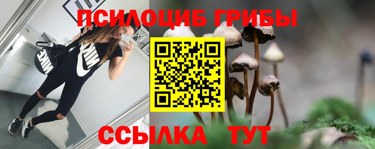 Псилоцибиновые грибы Magic Shrooms Нарткала