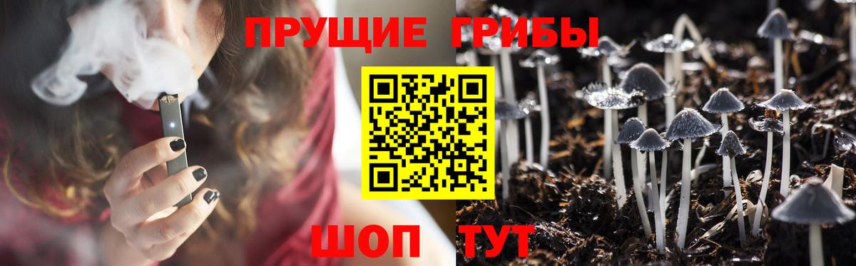 что такое   Псилоцибиновые грибы GOLDEN TEACHER  Вход с VPN  Нарткала  Галлюциногенные грибы Magic Shrooms 