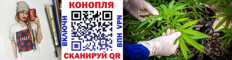 блэк спрут tor  Нарткала  Конопля VHQ 